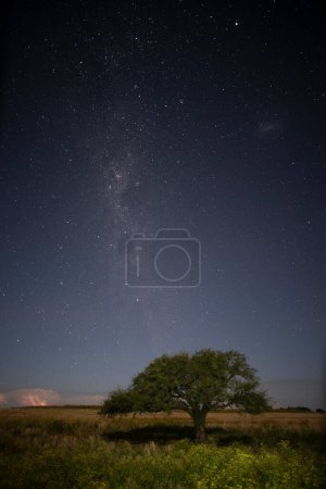 Paysage de Pampas photographié la nuit avec un ciel étoilé, province de La Pampa, Patagonie, Argentine.