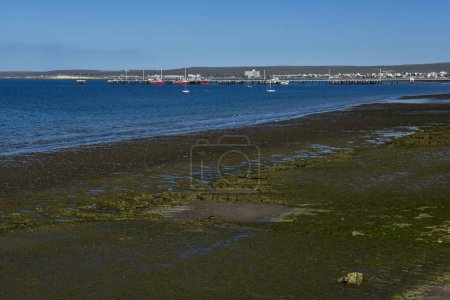 Photo for Puerto Madryn coastal landscape at low tide, Chubut Province, Patagonia, Argentina. - Royalty Free Image