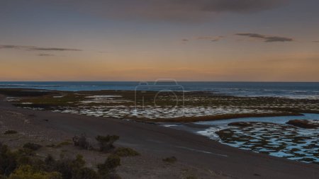 Photo for Low Tide coastal landscape in Peninsula Valdes, World Heritage Site, Patagonia Argentina - Royalty Free Image
