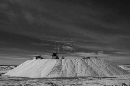 Photo for Trucks unloading raw salt bulk, Salinas Grandes de Hidalgo, La Pampa - Royalty Free Image