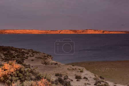 Photo for Coastal landscape in Peninsula Valdes at dusk, World Heritage Site, Patagonia Argentina - Royalty Free Image