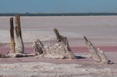Foto de Laguna de sal, La Pampa, Argentina - Imagen libre de derechos