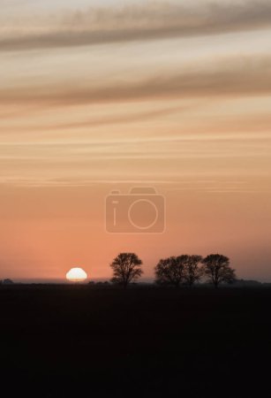 Téléchargez les photos : Magnifique coucher de soleil sur un terrain à la campagne - en image libre de droit