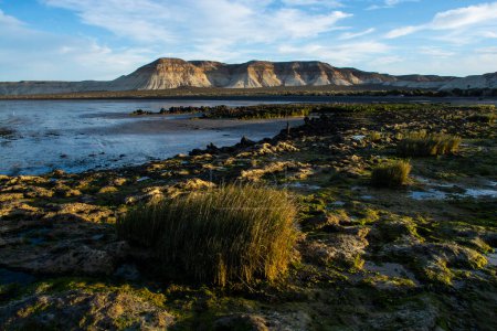 Foto de Zona protegida Cerro Avanzado, Patrimonio de la Humanidad, Provincia de Chubut, Patagonia, Argentina. - Imagen libre de derechos