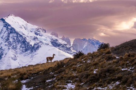 Paisaje de montaña, Parque Nacional Torres del Paine, Patagonia, Chile.