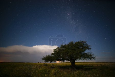 Foto de Paisaje pampeano fotografiado de noche con cielo estrellado, provincia de La Pampa, Patagonia, Argentina. - Imagen libre de derechos