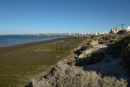 Foto de Paisaje costero de Baja Marea en la Península Valdés, Patrimonio de la Humanidad, Patagonia Argentina - Imagen libre de derechos