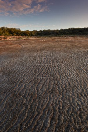 Foto de Semi desert environment landcape, La Pampa province, Patagonia, Argentina. - Imagen libre de derechos