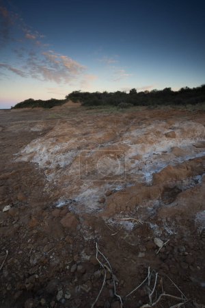 Foto de Semi desert environment landcape, La Pampa province, Patagonia, Argentina. - Imagen libre de derechos