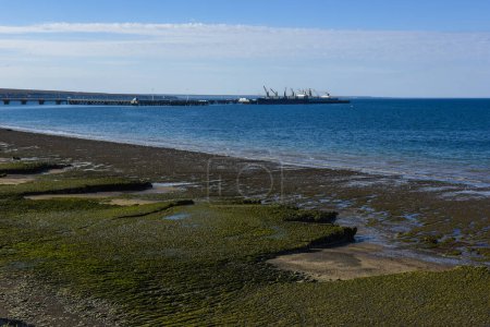 Téléchargez les photos : Paysage côtier à marée basse dans la péninsule Valdes, site du patrimoine mondial, Patagonie Argentine - en image libre de droit