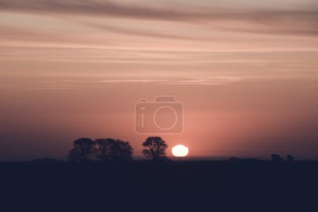 Photo for Beautiful sunset in the evening - Royalty Free Image