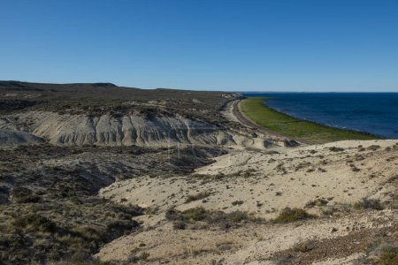 Téléchargez les photos : Paysage côtier de la péninsule Valdes au crépuscule, Patrimoine mondial, Patagonie Argentine - en image libre de droit
