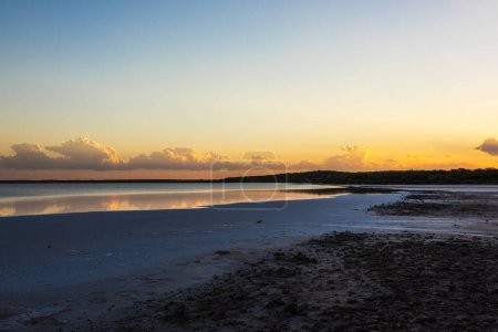 Téléchargez les photos : Paysage désertique, sol sec brisé dans une lagune de Pampas, province de La Pampa, Patagonie, Argentine. - en image libre de droit