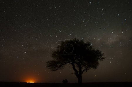 Foto de Paisaje nocturno pampeano, provincia de La Pampa, Patagonia, Argentina. - Imagen libre de derechos