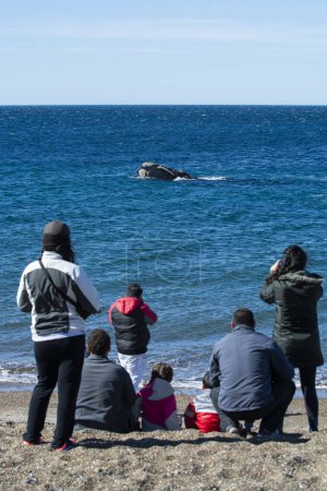 Foto de Turistas observando ballenas, observación desde la costa - Imagen libre de derechos
