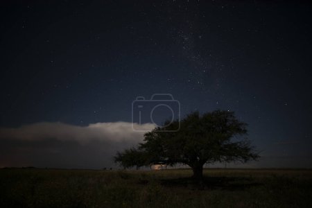 Photo for Pampas landscape photographed at night with a starry sky, La Pampa province, Patagonia , Argentina. - Royalty Free Image