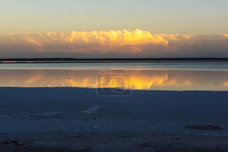 Photo for Desert landscape, broken dry soil in a Pampas lagoon, La Pampa province, Patagonia, Argentina. - Royalty Free Image