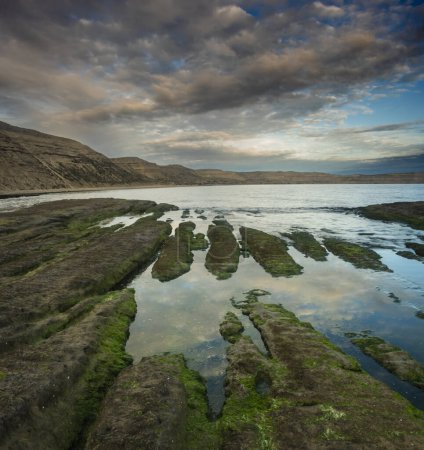 Foto de Paisaje costero en la Península Valdés al atardecer, Patrimonio de la Humanidad, Patagonia Argentina - Imagen libre de derechos