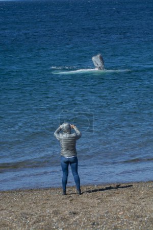Foto de Turistas observando ballenas, observación desde la costa - Imagen libre de derechos
