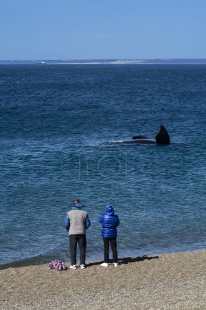 Photo for Tourists watching whales, observation from the coast - Royalty Free Image