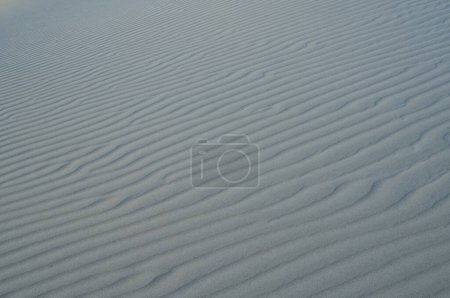 Téléchargez les photos : Motifs et formes naturels dans le sable, causés par le vent. - en image libre de droit