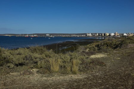 Téléchargez les photos : Paysage côtier à marée basse dans la péninsule Valdes, site du patrimoine mondial, Patagonie Argentine - en image libre de droit