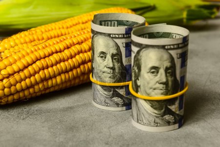 Foto de Comercio de semillas de maíz, concepto de empresa agrícola. - Imagen libre de derechos