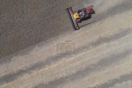 Téléchargez les photos : Récolte de blé dans la campagne argentine, Province de La Pampa. - en image libre de droit