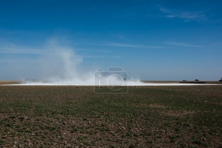 Photo for Strong wind blowing in a salt flat in La Pampa province, Patagonia, Argentina. - Royalty Free Image