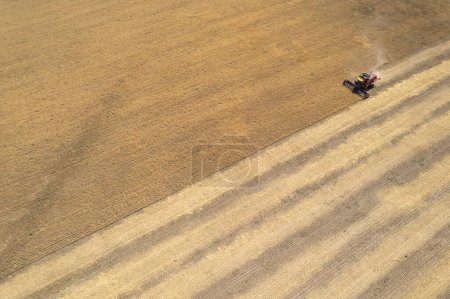 Téléchargez les photos : Récolte de blé dans la campagne argentine, Province de La Pampa. - en image libre de droit