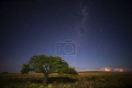Pampas landscape photographed at night with a starry sky, La Pampa province, Patagonia , Argentina.
