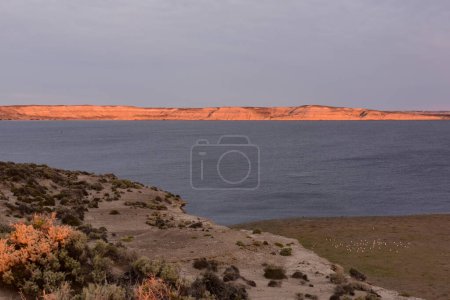 Photo for Peninsula Valdes coast landscape, World Heritage Site, Patagonia - Royalty Free Image