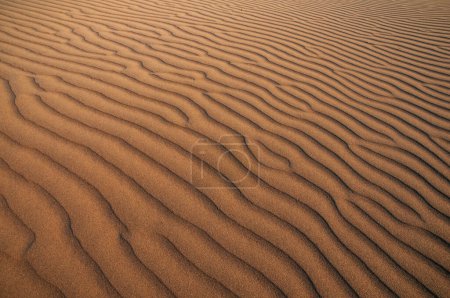 Natürliche Muster und Formen im Sand, verursacht durch den Wind.