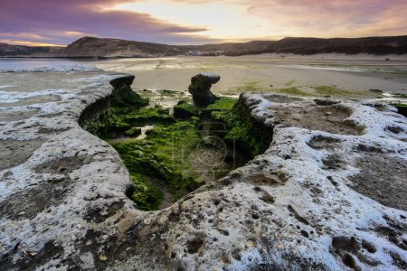 Téléchargez les photos : Péninsule Valdes paysage côtier, Patrimoine mondial, Patagonie - en image libre de droit