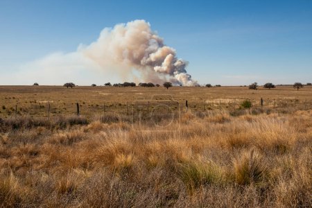 Foto de Incendio de pastizales en la provincia de La Pampa, Patagonia, Argentina. - Imagen libre de derechos