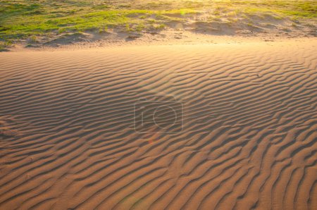 Diseños y formas naturales en la arena, causados por el viento.