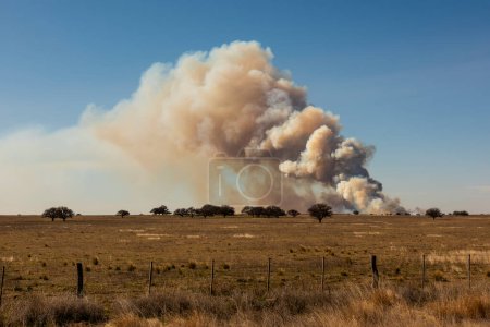 Photo for Grassland fire in La Pampa Province, Patagonia, Argentina. - Royalty Free Image