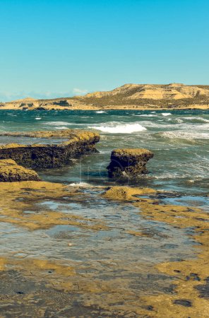 Foto de Paisaje costero de la Península Valdés, Patrimonio de la Humanidad, Patagonia - Imagen libre de derechos