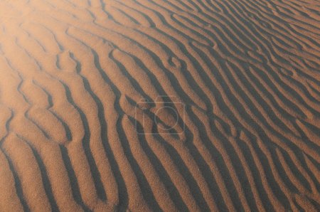 Diseños y formas naturales en la arena, causados por el viento.