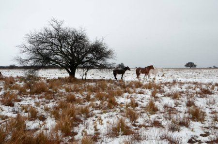 Verschneite Landschaft in ländlicher Umgebung in La Pampa, Patagonien, Argentinien.