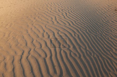 Foto de Diseños y formas naturales en la arena, causados por el viento. - Imagen libre de derechos