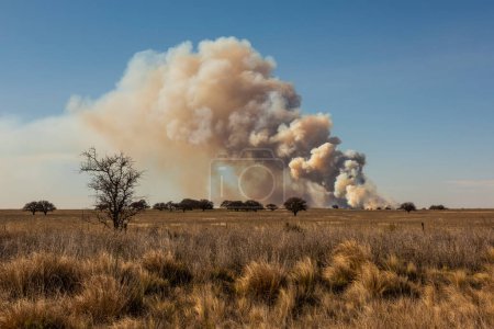 Foto de Incendio de pastizales en la provincia de La Pampa, Patagonia, Argentina. - Imagen libre de derechos