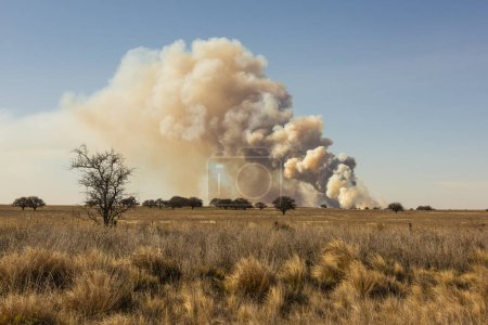 Incendie de prairie en La Pampa Province, Patagonie, l'Argentine.