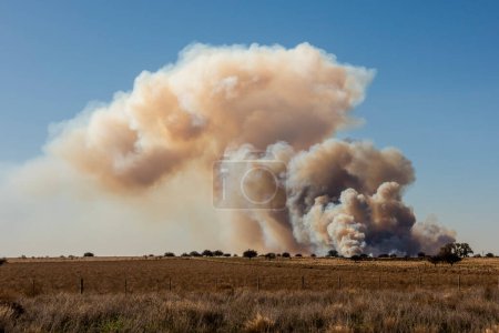 Incendie de prairie en La Pampa Province, Patagonie, l'Argentine.