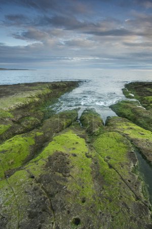 Peninsula Valdes coast landscape, World Heritage Site, Patagonia Argentina
