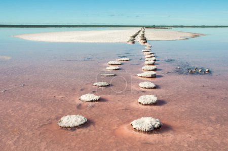 Restes historiques de l'ancienne exploitation du sel, Salinas Grande, La Pampa, Argentine.