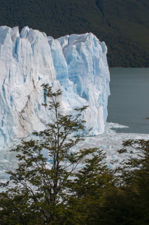 Glacier Perito Moreno, Parc National de Los Glaciares, Province de Santa Cruz, Patagonie Argentine.