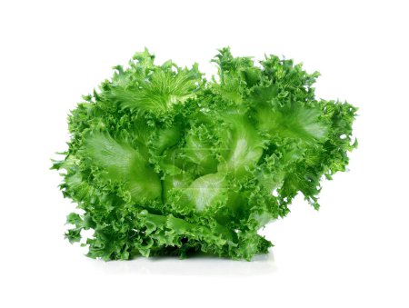Photo for Fresh green lettuce leafs isolated on white background - Royalty Free Image
