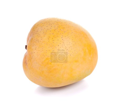 Photo for Mango fruit isolated on white background - Royalty Free Image