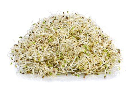 Photo for Sprouted alfalfa on a white background - Royalty Free Image